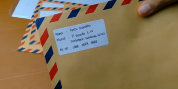 Kata-Kata Alpha ML dan Artinya