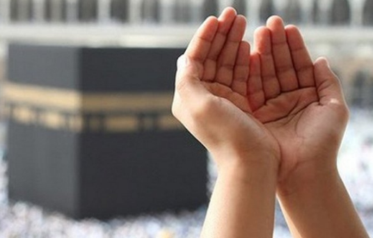 Kata-Kata Alpha ML dan Artinya