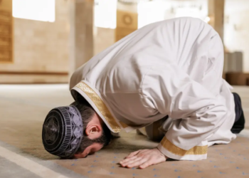 Kata-Kata Alpha ML dan Artinya