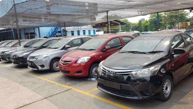 Kata-Kata Alpha ML dan Artinya