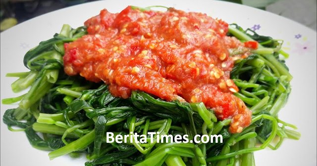 Kata-Kata Alpha ML dan Artinya