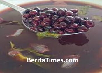 Resep Sayur Lebui Khas Lombok 9 Kata-Kata Alpha ML dan Artinya